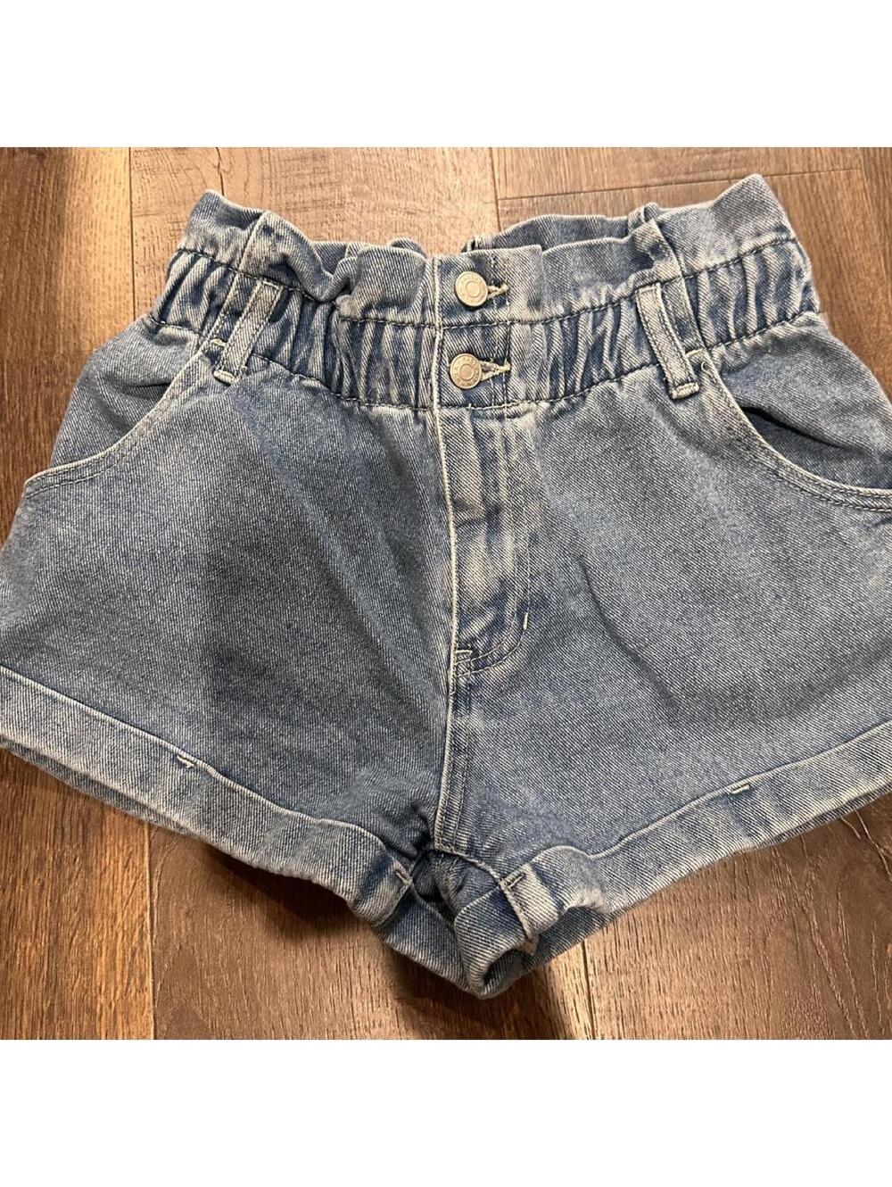 PacSun Women's Blue Shorts